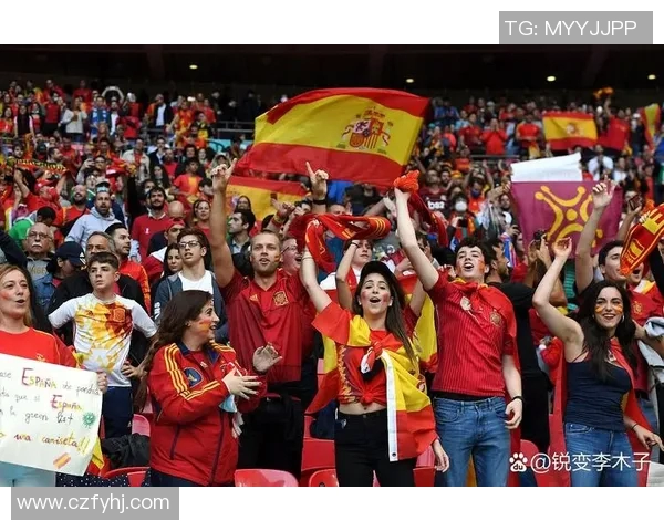 欧洲杯赛事球迷互动及文化传承研究